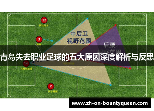 青岛失去职业足球的五大原因深度解析与反思 青岛失去职业足球的五大原因深度解析与反思