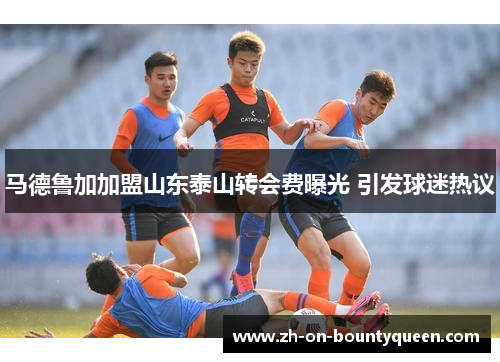 马德鲁加加盟山东泰山转会费曝光 引发球迷热议