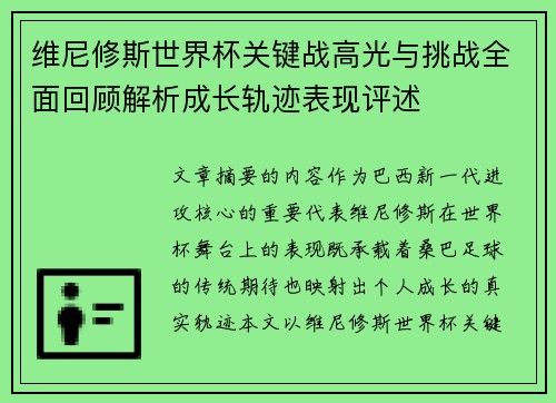 维尼修斯世界杯关键战高光与挑战全面回顾解析成长轨迹表现评述